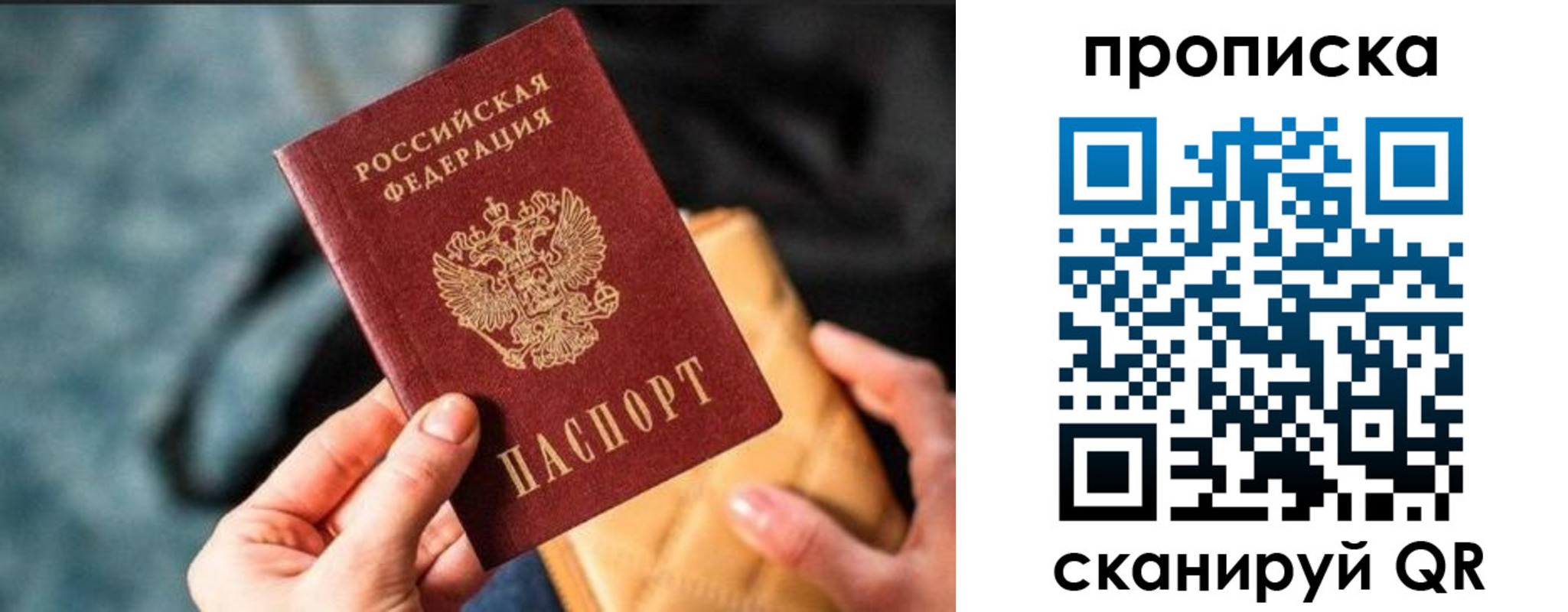 прописка ребенка в Кировске